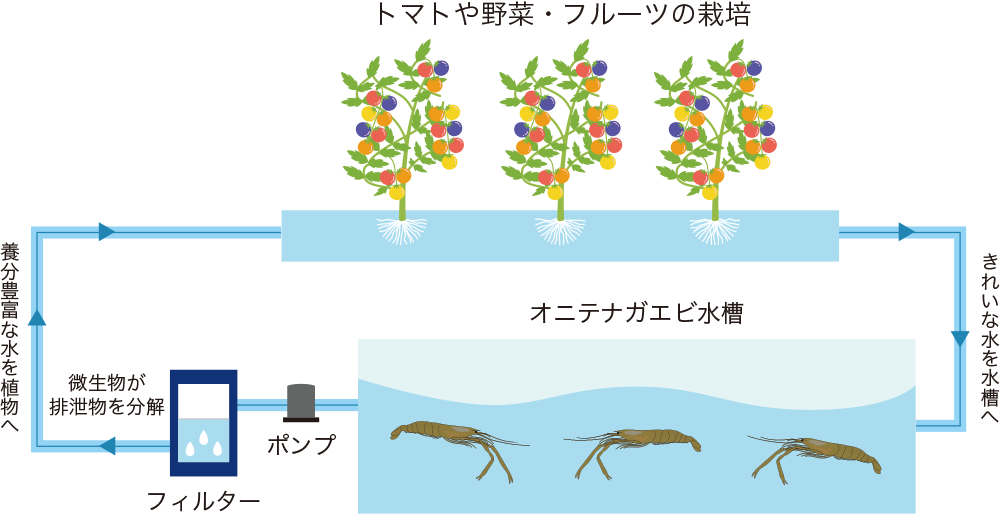 持続可能な究極の循環システム